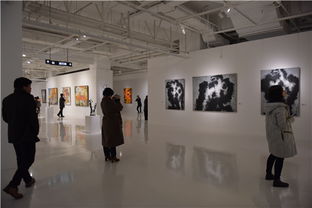 布拉格中歐國(guó)際藝術(shù)雙年展中國(guó)作品展在山水美術(shù)館開(kāi)幕 共繪文化藝術(shù)交流新篇章