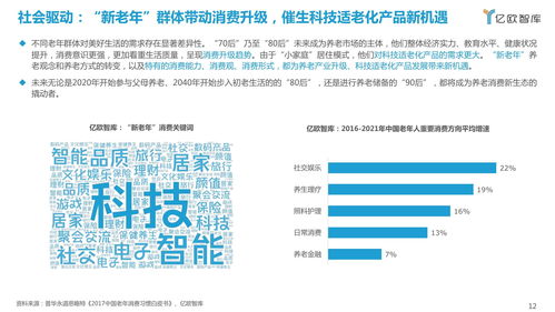 2021中國科技適老化產品研究報告 信息技術咨詢服務的引領與賦能